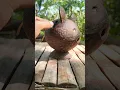 Download Lagu Easy coconut shell craft ideas |DIY| 😱 #shorts