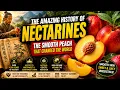 The Amazing History of Nectarines The Smooth Peach That Changed the World
