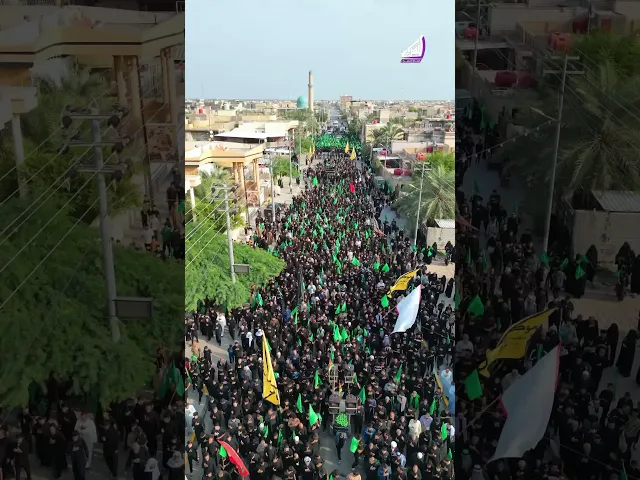 ⁣المسيرة الفاطمية في محافظة البصرة - قضاء المدينة #قناة_الشراع