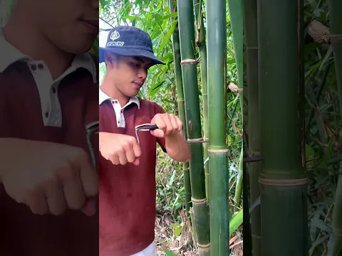Survival Skills: How to Get Water from a BAMBOO Tree 💧🌍#ohd #survival #camping #bushcraft #skills