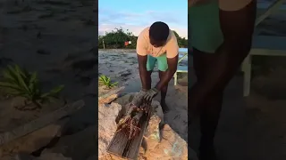 Lobster beach party in #Barbuda.