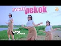 Download Lagu Dj Santri Pekok - Dini Kurnia (Official Music Video)