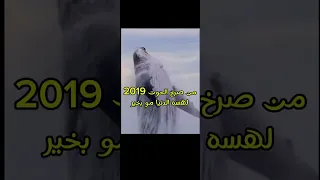 صرخة الحوت صرخة الحوت الحوت الازرق الأزرق الازياء 2019 2024 كربلاءالمقدسه 
