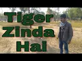 Download Lagu Tiger Zinda Hai making video
