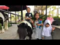 Download Lagu Ternyata begini rupa KUDA PONI | Wisata Naik Kuda di Branchsto BSD | Wisata ala Keluarga Zara Cute