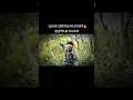 Download Lagu लुगाई 😁 sardar #danku #dadua #lugai #dildar #song #jangal #daru #sadi #shortfilm #nahi #funny #desi