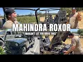Definitely not a CJ Trevor test drives a Mahindra ROXOR W a 4-cylinder diesel engine