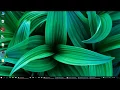 Data Encryption Standard - Show on Matlab
