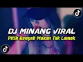 DJ MINANG PITIH BANYAK MAKAN TAK LAMAK BREAKBEAT || DJ MINANG VIRAL TIK TOK TERBARU 2024