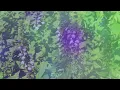 Chad Lawson - to hold the stars in the palm of your hand (orchestral)