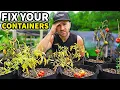 My Container Garden FAILED 4 STUPID Mistakes I Made
