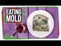 Download Lagu What Happens If You Eat Mold?