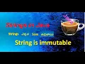 Strings in java String is immutable with clear explanation Where string objects save