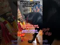 Lagu பைரவரை தரிசனம் செய்யும் பைரவரின் அழகிய காணொளி #shortsfeed #shorts #facts #youtubeshorts #share #like
