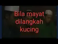 Download Lagu Bila mayat  dilangkah kucing