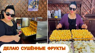 СЕГОДНЯ СУШУ ФРУКТЫ! СУШЁННЫЕ ФРУКТЫ ОТ АРУСИ КАВКАЗ. #сушённыефрукты #арусякавказ 