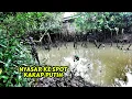 Download Lagu Full Seharian Mancing tiga jenis ikan,dari mancing ikan nila,ikan bandeng,ikan kakap