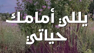 يللي أمامك حياتي ليديا شديد وهاني روماني ترنيمة بالكلمات My Life Is Before You Lyric Video 