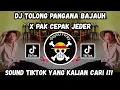 Download Lagu DJ TOLONG PANGANA BAJAUH X PAK CEPAK JEDER | By Jay Opus Rmx | SOUND VIRAL TIKTOK TERBARU ‼️ 