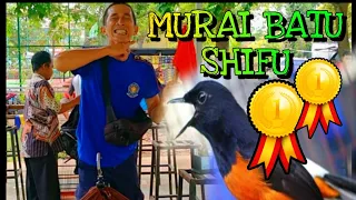 Download Murai Borneo Shifu Mr.Ridho TR MP3