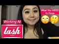 Working At Amazing Lash Studio