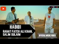 Download Lagu Rahat Fateh Ali Khan, Salim Sulaiman- Habibi (Official Video) | Hindi Songs | Revibe