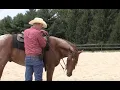 When Why and How to Transition to a New Bit Episode 118 - Herm Gailey A Lifetime with Horses
