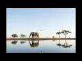 Pippi Ciez - Botswana