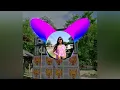 Download Lagu Dil D nazar DJ Sudarsan nuklipur and kailali mix Tharu Rajbanshi