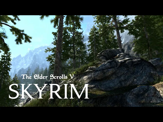 Skyrim Special Edition | 2019 | ReShade | no ENB | Ready for TES VI