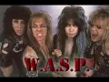 WASP - Rebel in the FDG (Music Video)