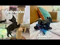 Meet Firecracker \u0026 Jennifer Coolidge
