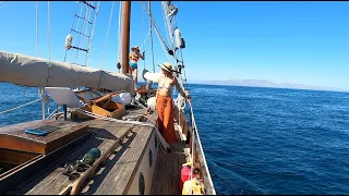 Salt & Tar: Ep.268- Buggin’ Out