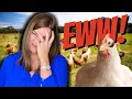 Things Locals Hate About Living In Gainesville GA