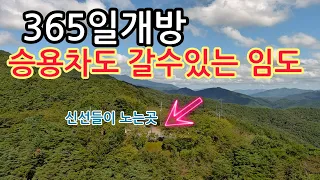 승용차로도 365일 편하게 갈수있고 마음씨 좋은 신선도 만날수 있는 미숭산 임도길. 썸네일