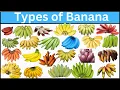 Types of Bananas Explore 60 Bananas From Around the World