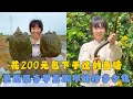 Download Lagu 幺妹花200元包下干过的鱼塘，里面很多甲鱼脚印能挣多少钱？