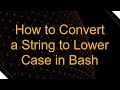 How to Convert a String to Lower Case in Bash