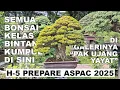 Download Lagu H-5 PREPARE ASPAC 2025, SEMUA BONSAI KELAS BINTANG KUMPUL DI GALERINYA \