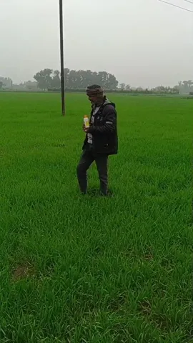 गोरखपुर के बाबूराम यादव ने किसानों को दी कैसी सलाह |वनइंडिया हिंदी