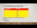 Variables and declaration of variables in VB