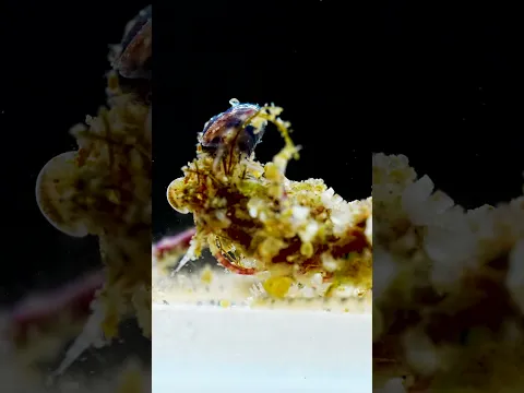 Would you drink ocean water?