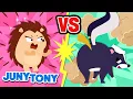 Download Lagu Landak vs. Sigung 🦔🦨 | Lagu Hewan | Binatang | Kartun Anak | Lagu Anak | JunyTony Bahasa Indonesia