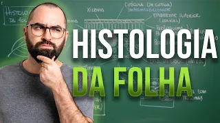 Histologia da Folha - Aula 10 - Módulo 5: Botânica