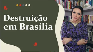 UM PORCO NUM PALÁCIO 🐷🏰 Pensar a partir dos escombros
