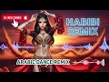 Lagu Oriental Deep House Mix – Habibi Arabic Vibes for Late Night Sessions