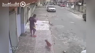 كلب يقدم هدية غير متوقعة لرجل يجلس على الرصيف   البرازيل                     دندنها