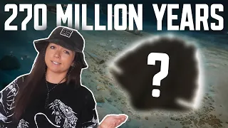 The Most Successful Animal to Ever Exist? | Lindsay Nikole