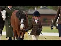 Welsh Pony and Cob Society of Australia
