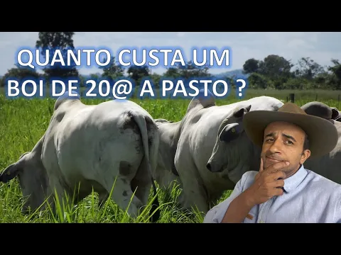 Download MP3 Quanto custa \